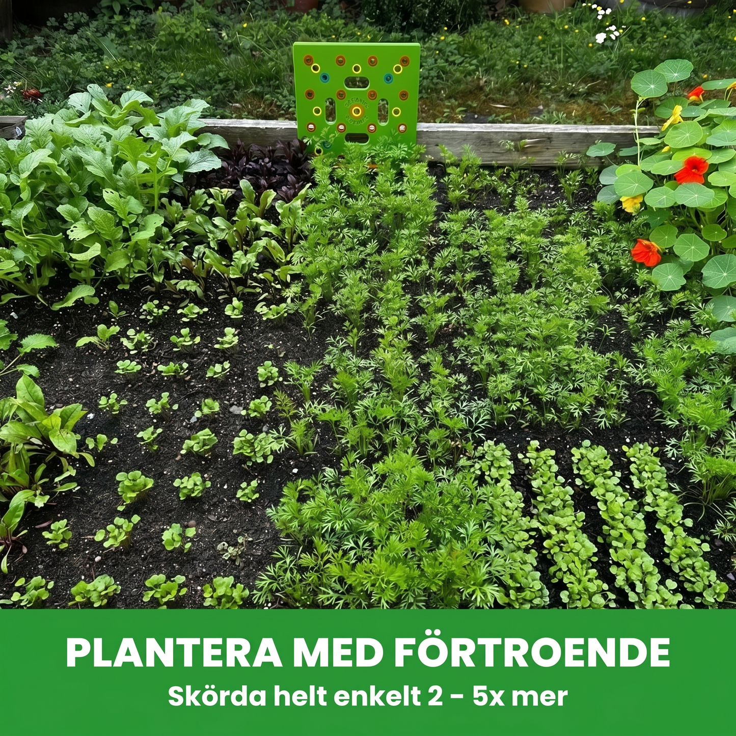 PlantPlankan™ — Minimera ogräs med rätt avstånd